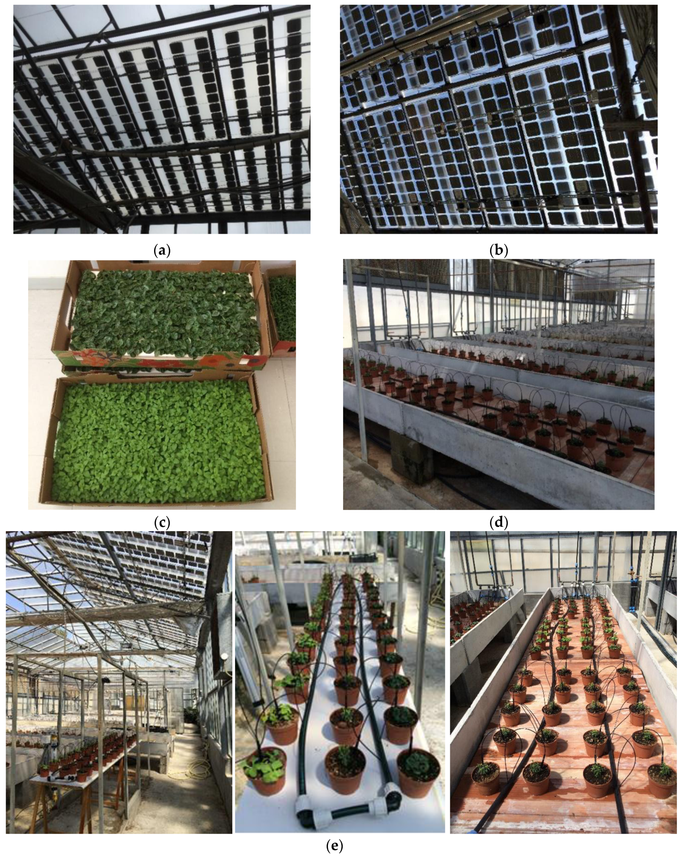 Sustainability 10 00855 g005 550