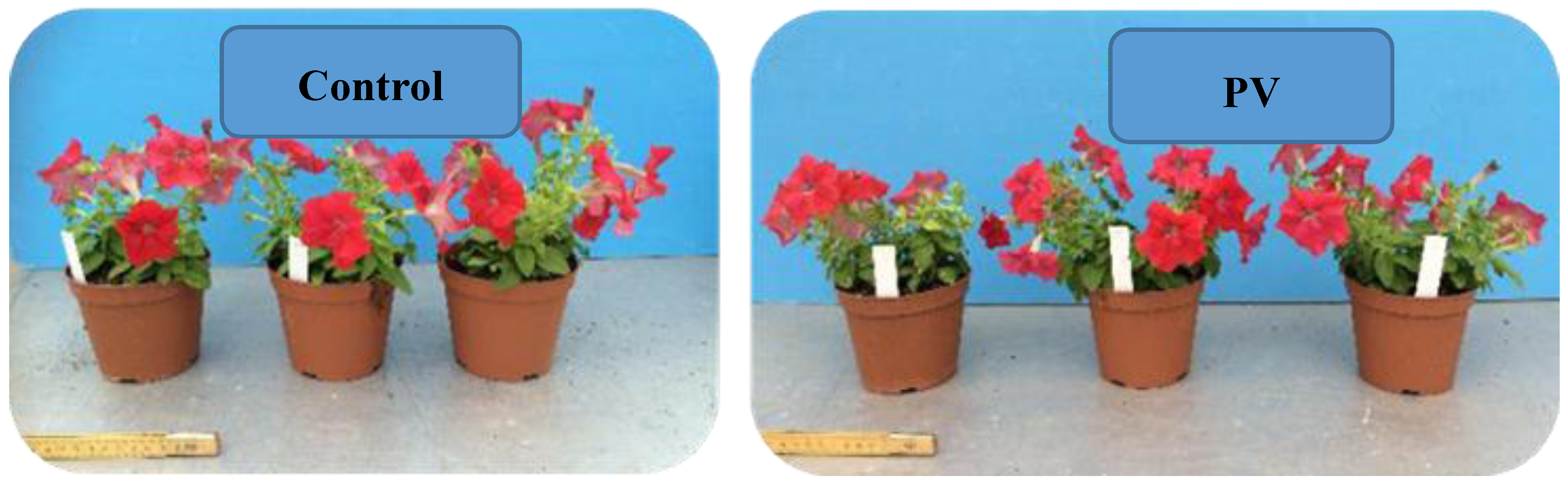 Sustainability 10 00855 g014 550