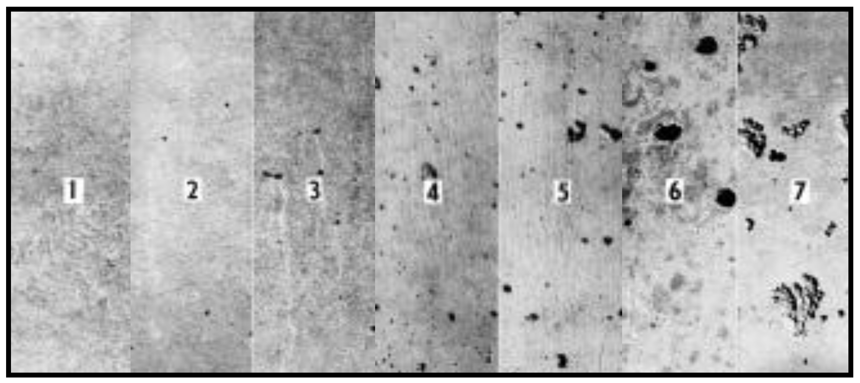 Sustainability 10 00931 g003 550