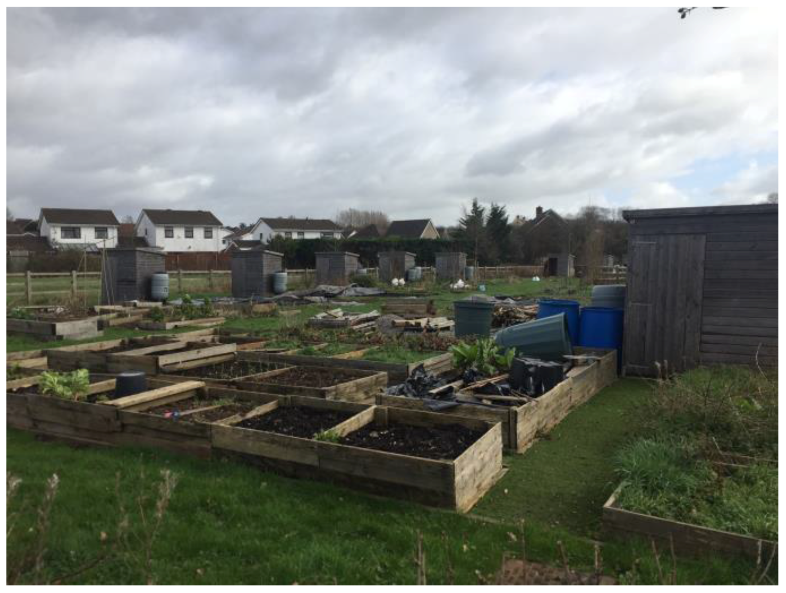 Sustainability 10 00934 g005