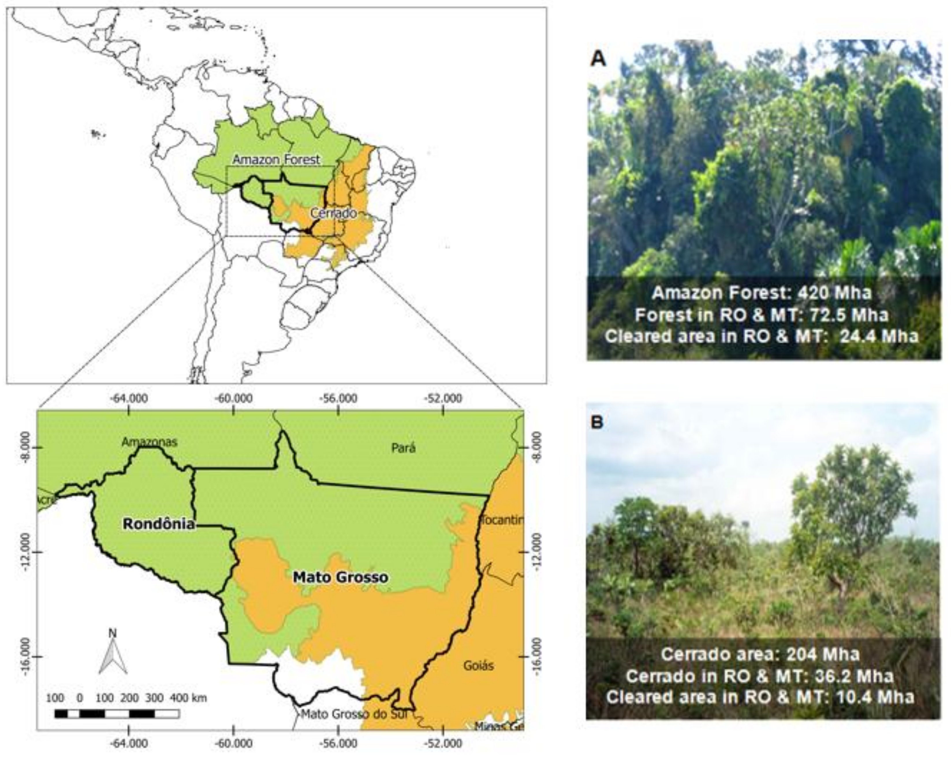 Sustainability Free Full Text Reducing Amazon Deforestation Through Agricultural Intensification In The Cerrado For Advancing Food Security And Mitigating Climate Change Html