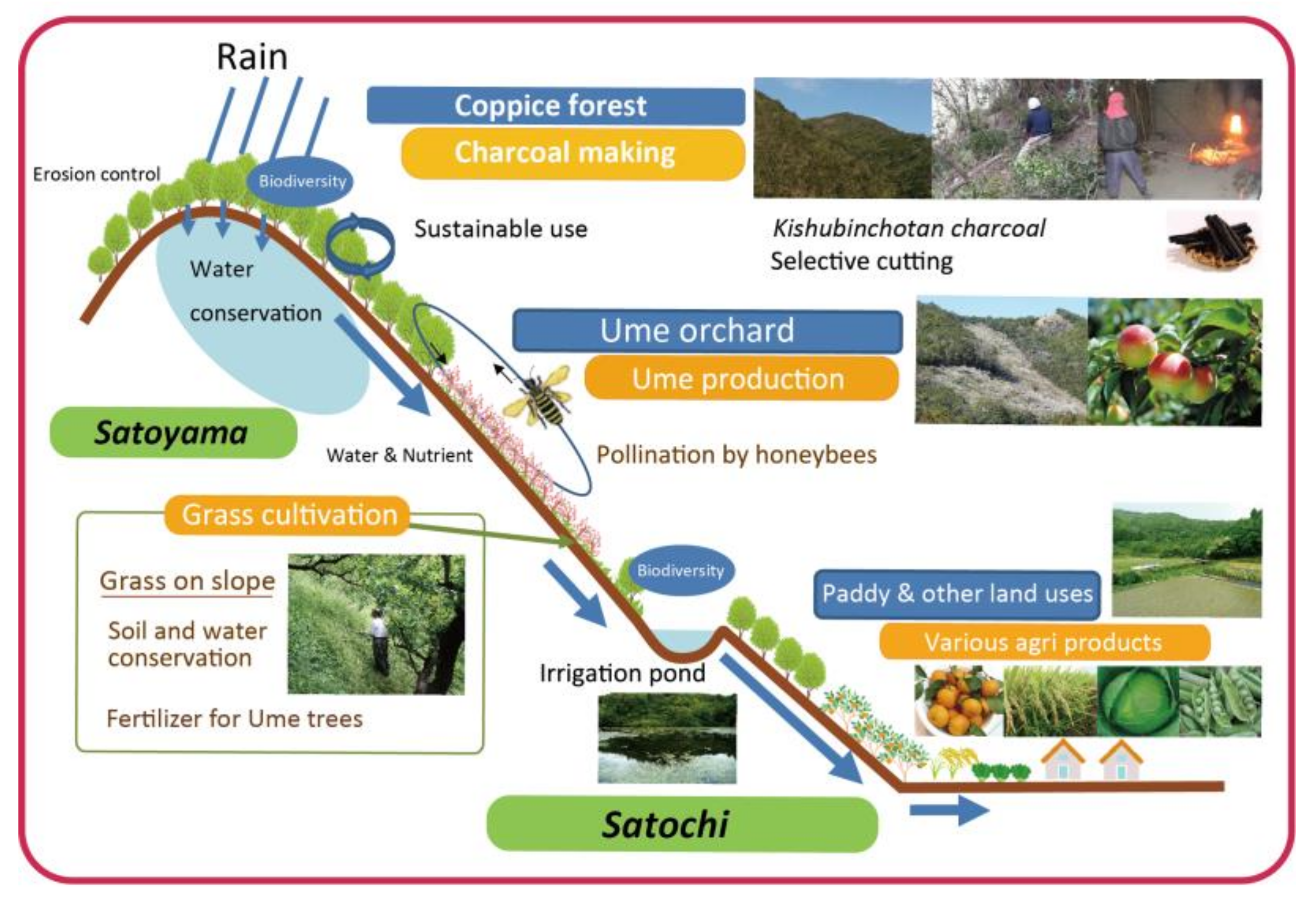 Sustainability 10 01079 g002 Sustainability 10 01079 g002