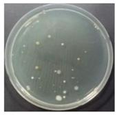 Sustainability 10 01123 i004