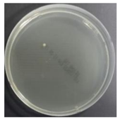 Sustainability 10 01123 i005