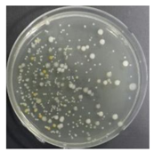 Sustainability 10 01123 i007