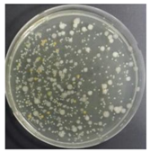 Sustainability 10 01123 i008