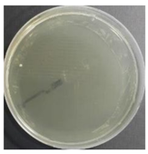 Sustainability 10 01123 i009