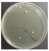 Sustainability 10 01123 i010