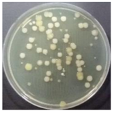 Sustainability 10 01123 i020