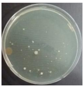 Sustainability 10 01123 i024