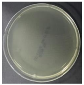 Sustainability 10 01123 i029