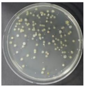 Sustainability 10 01123 i031