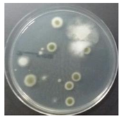 Sustainability 10 01123 i033