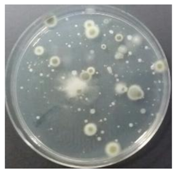 Sustainability 10 01123 i035