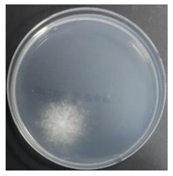 Sustainability 10 01123 i037