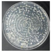 Sustainability 10 01123 i040