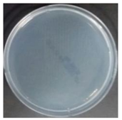 Sustainability 10 01123 i041