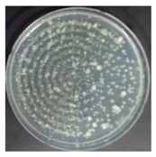 Sustainability 10 01123 i044