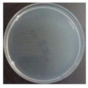 Sustainability 10 01123 i045