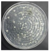 Sustainability 10 01123 i048