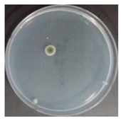 Sustainability 10 01123 i049