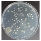 Sustainability 10 01123 i051