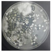 Sustainability 10 01123 i056