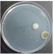 Sustainability 10 01123 i058