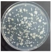 Sustainability 10 01123 i059