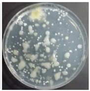 Sustainability 10 01123 i060