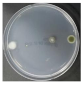 Sustainability 10 01123 i062