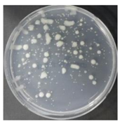 Sustainability 10 01123 i064