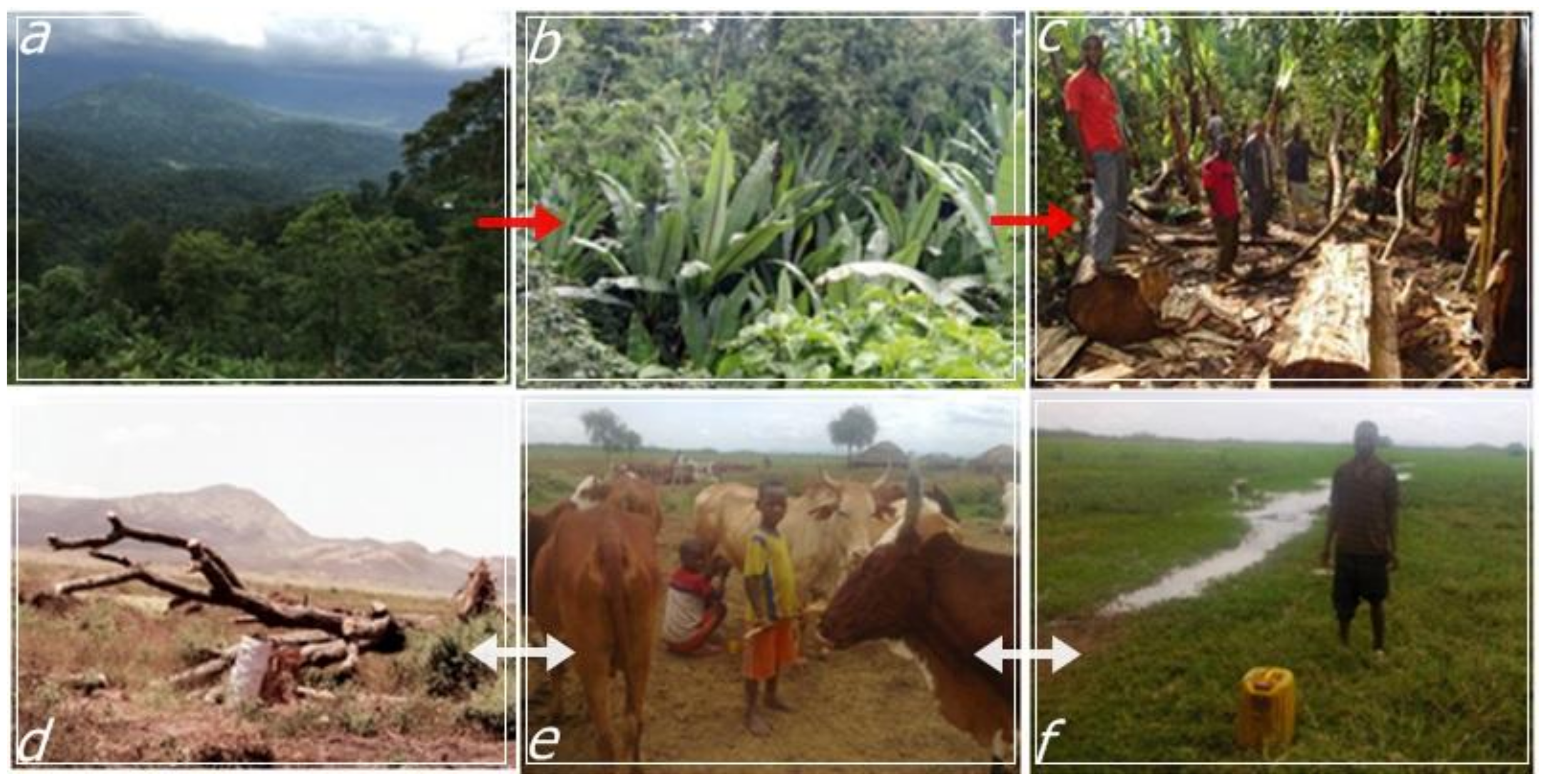 Sustainability 10 01126 g005