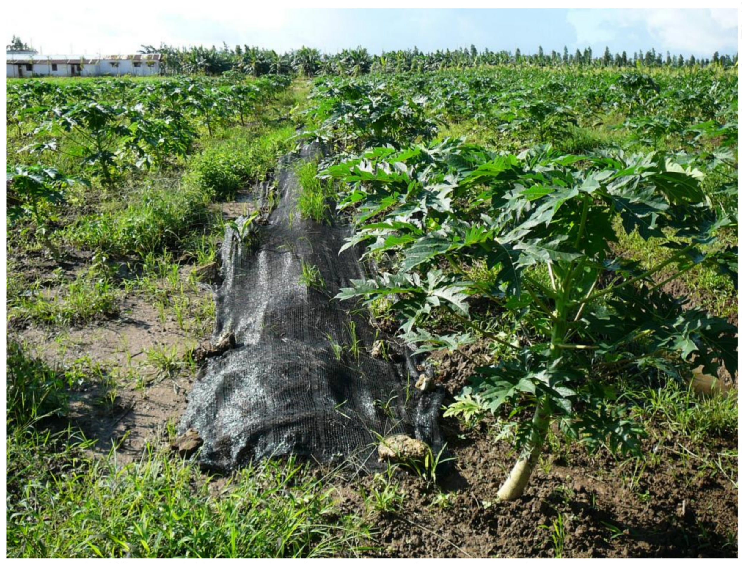 Sustainability 10 01193 g001