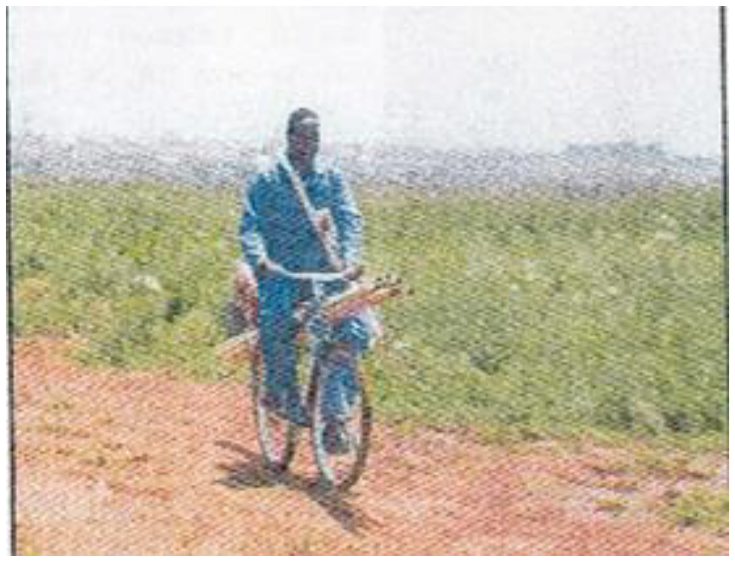 Sustainability 10 01276 g0a1