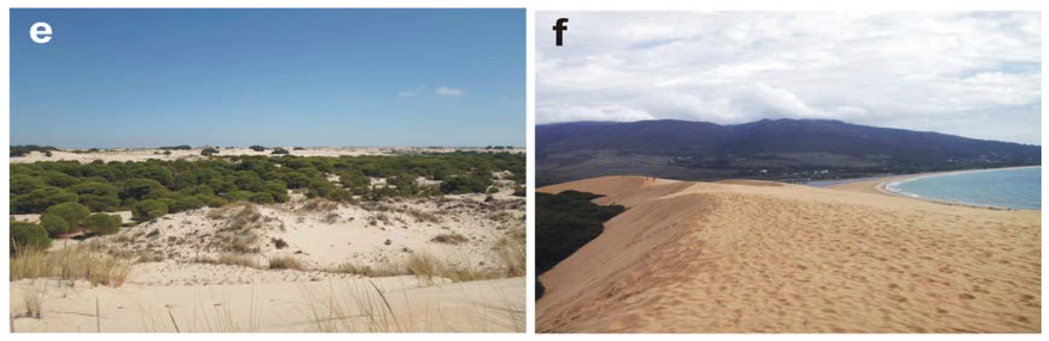 Sustainability 10 01328 g004b