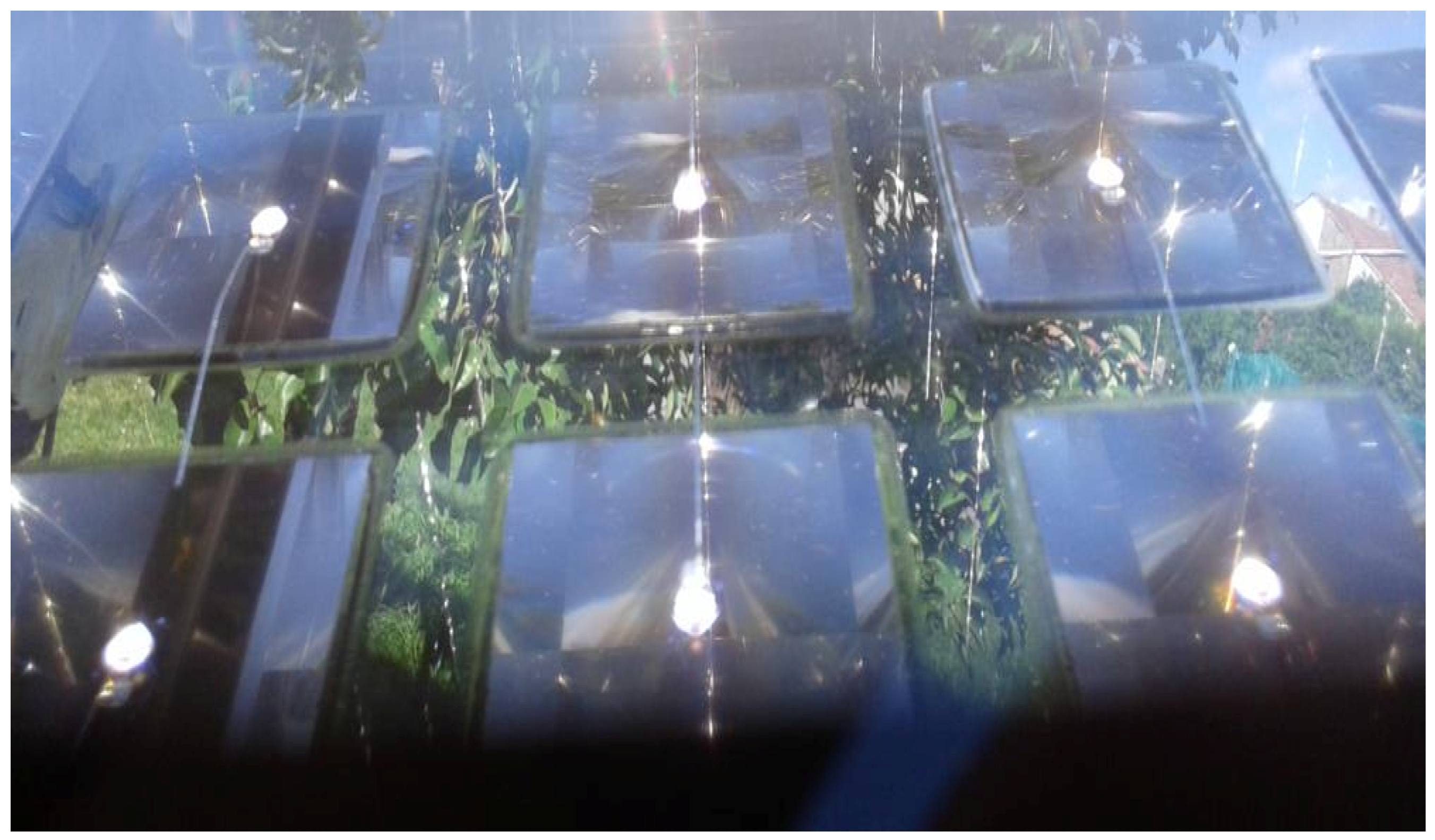 Sustainability 10 01394 g005