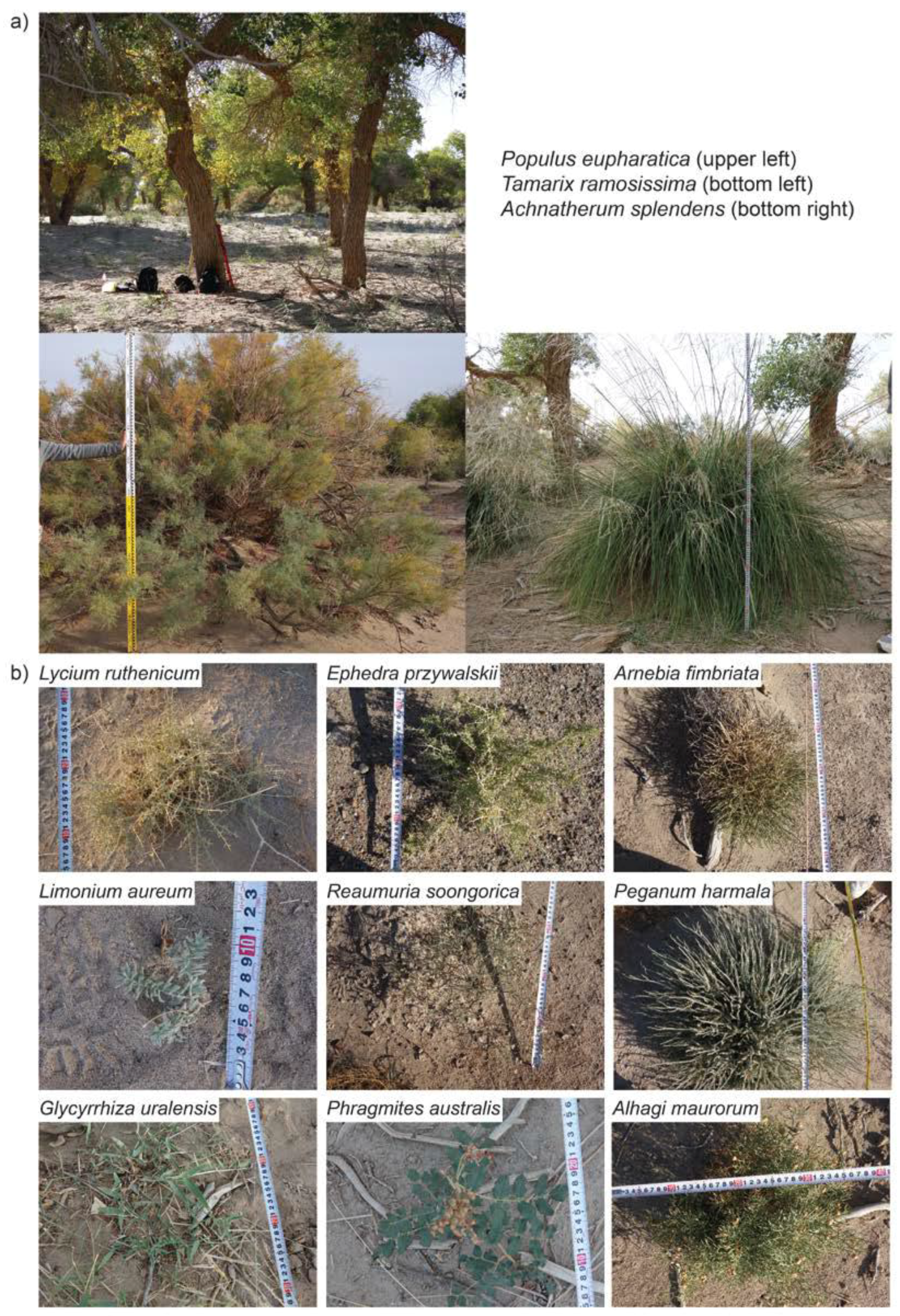 Sustainability 10 01471 g0a2