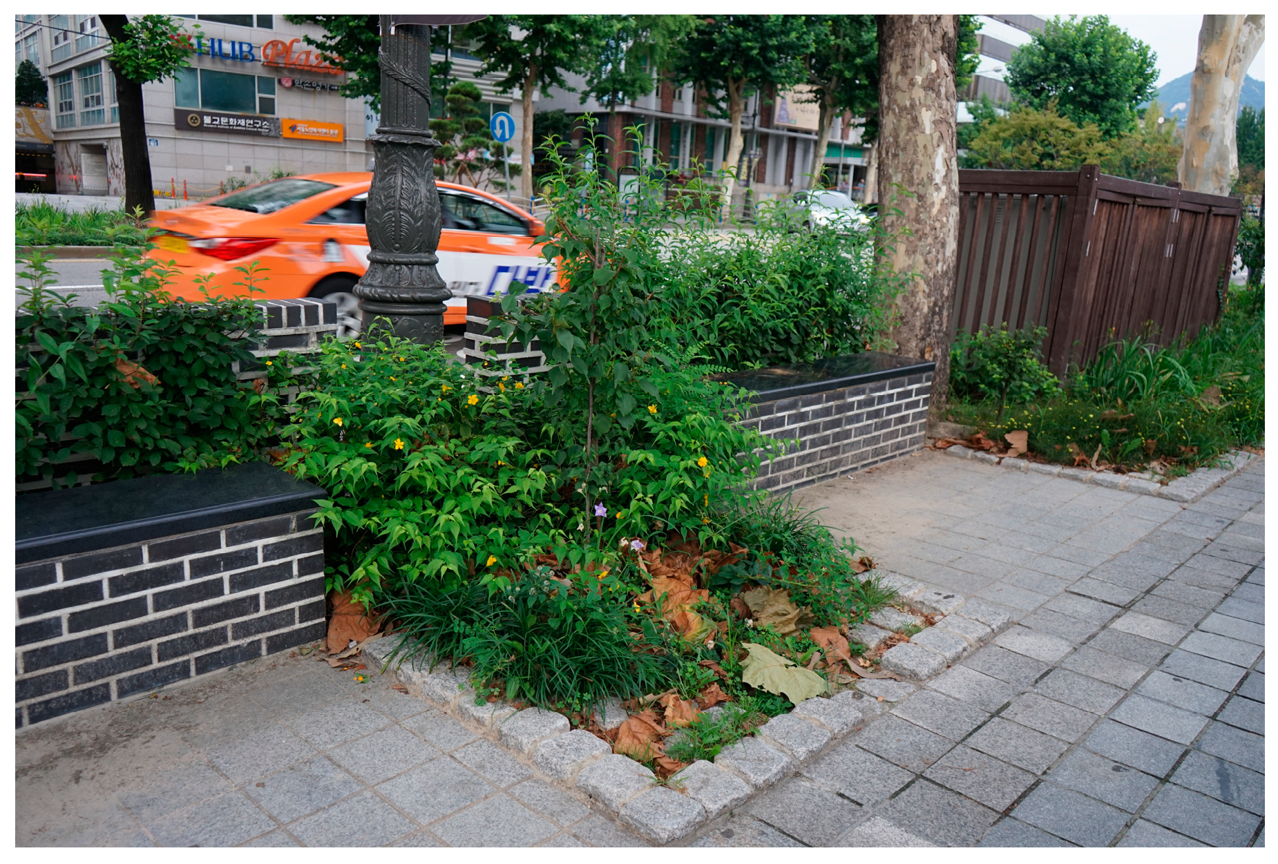 Sustainability Free Full Text Exploring The Relationship Between Prior Knowledge On Rain Gardens And Supports For Adopting Rain Gardens Using A Structural Equation Model