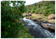 Sustainability 10 01701 i007 Sustainability 10 01701 i007