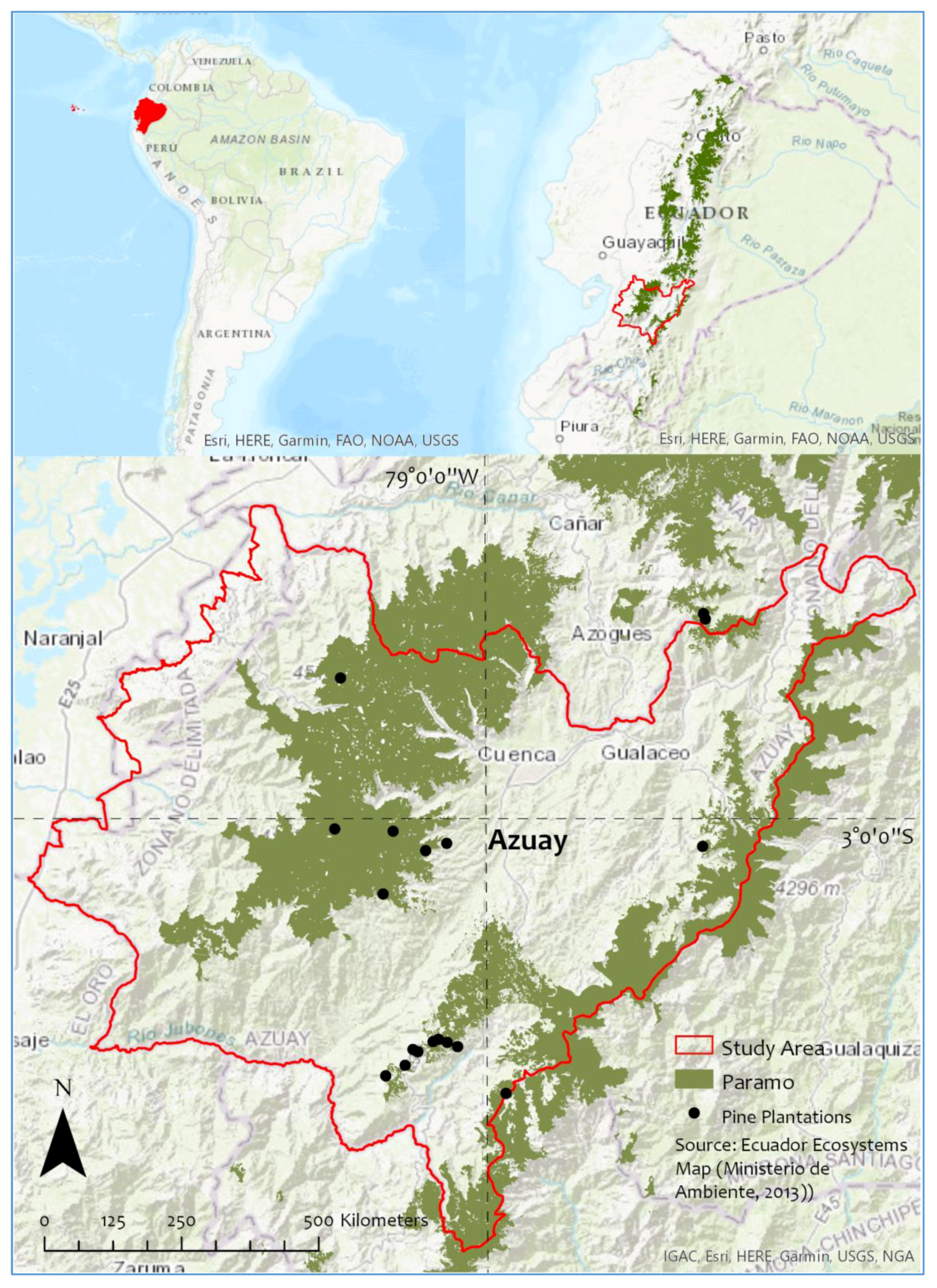 Caña de Pescar de 2.1 M – BP ECUADOR