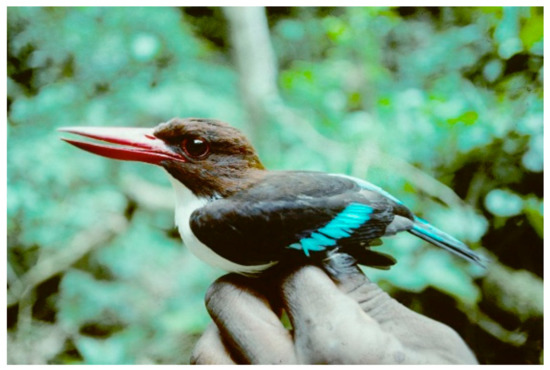 Sustainability Free Full Text What Have We Learned From The Land Sparing Sharing Model Html Sustainability Free Full Text What Have We Learned From The Land Sparing Sharing Model Html
