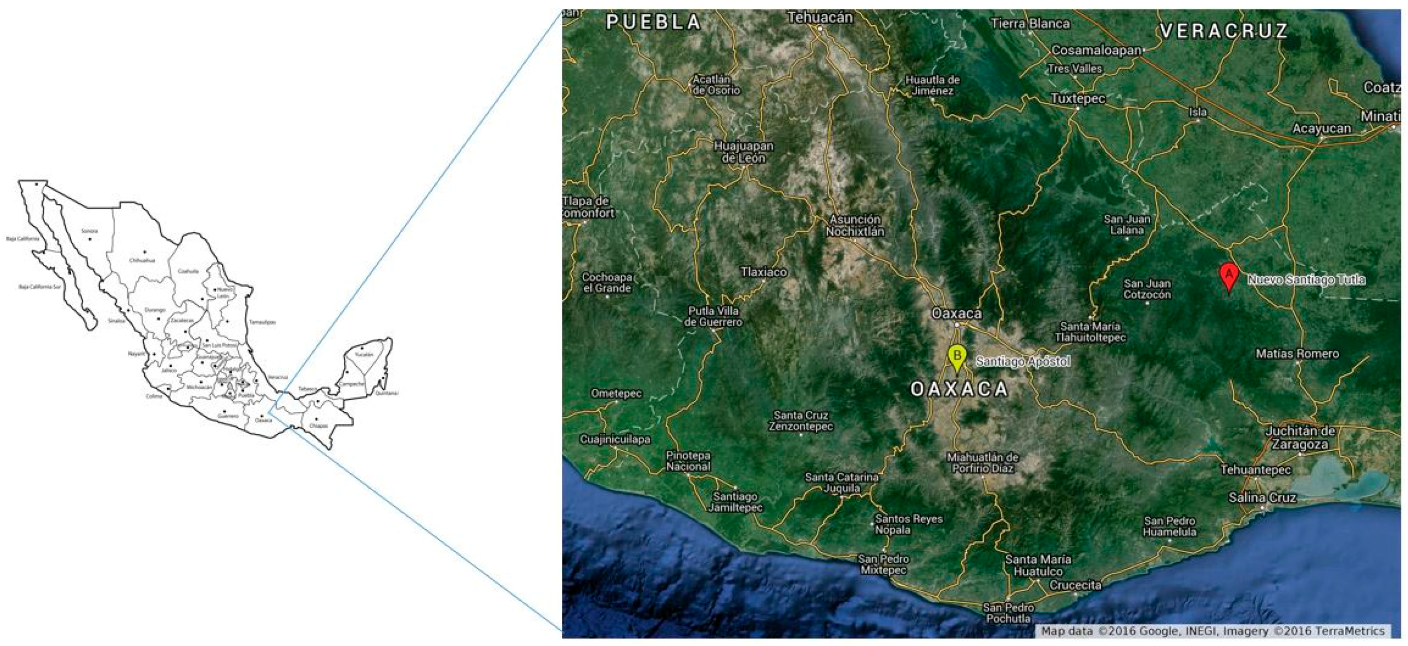 Sustainability 10 01778 g001