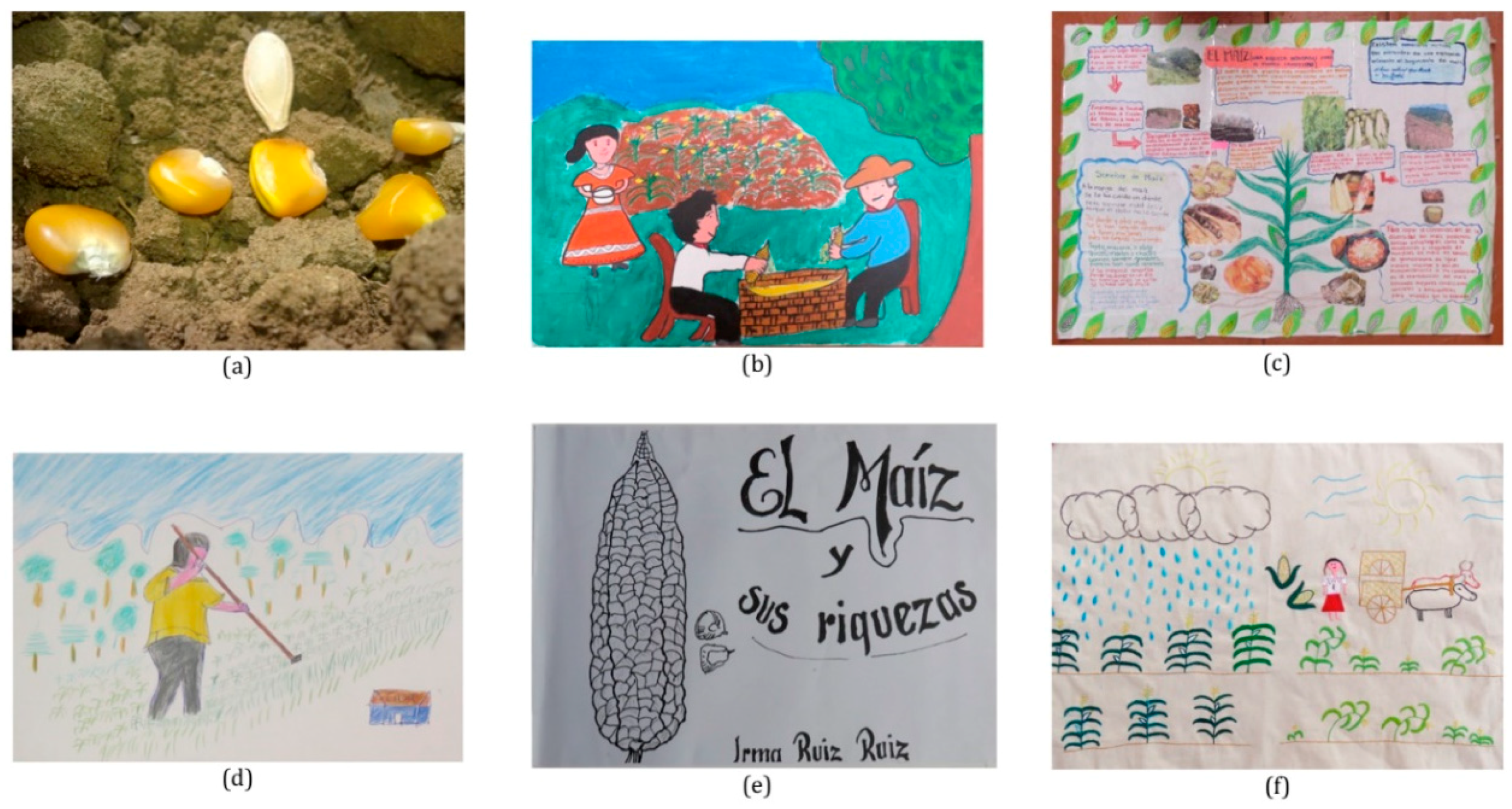 Sustainability 10 01778 g004