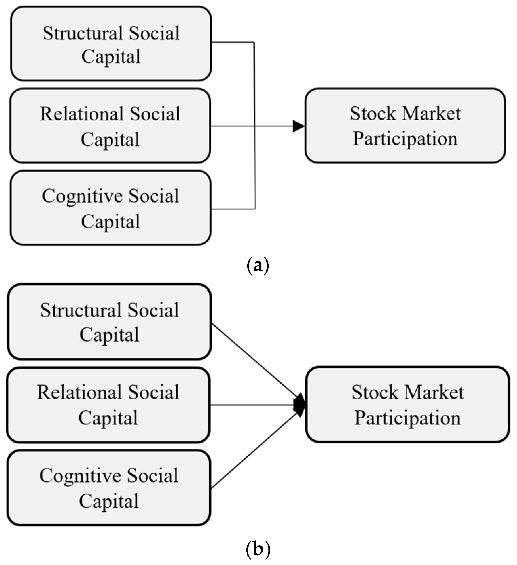 iq and stock market participation