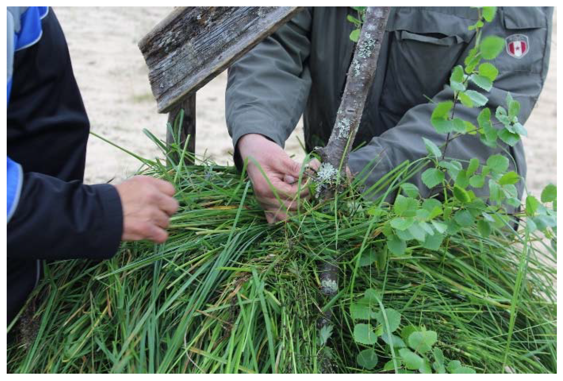 Sustainability 10 01907 g004 550