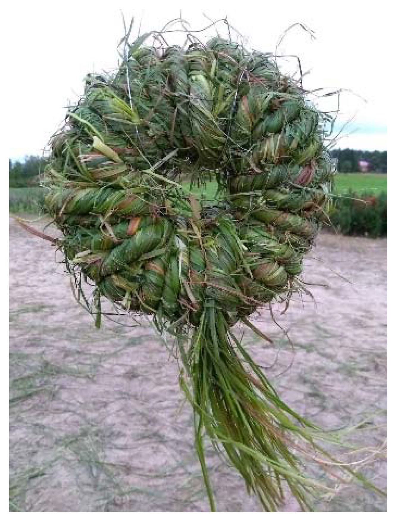 Sustainability 10 01907 g005 550