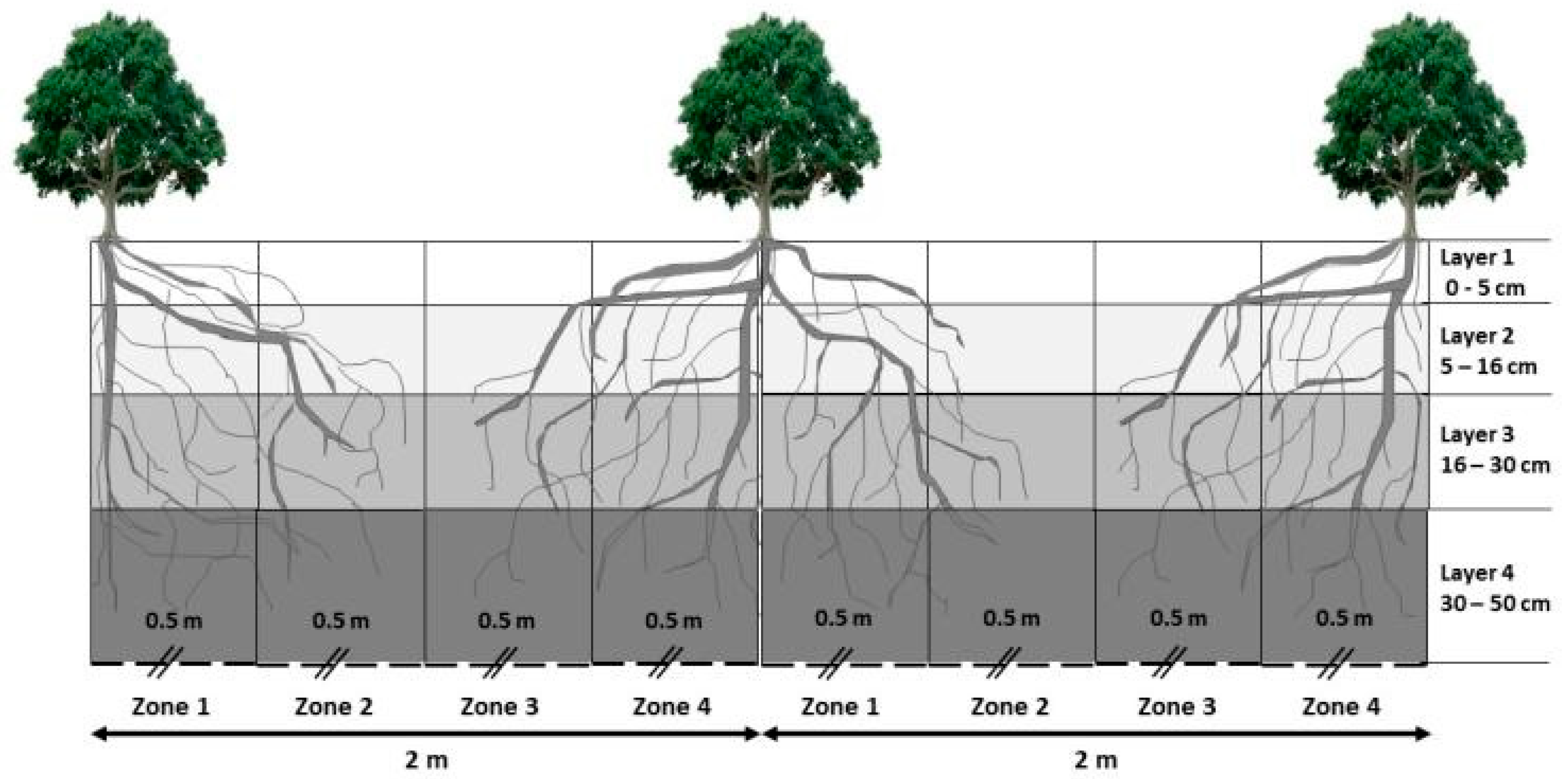 Sustainability 10 01931 g002 Sustainability 10 01931 g002