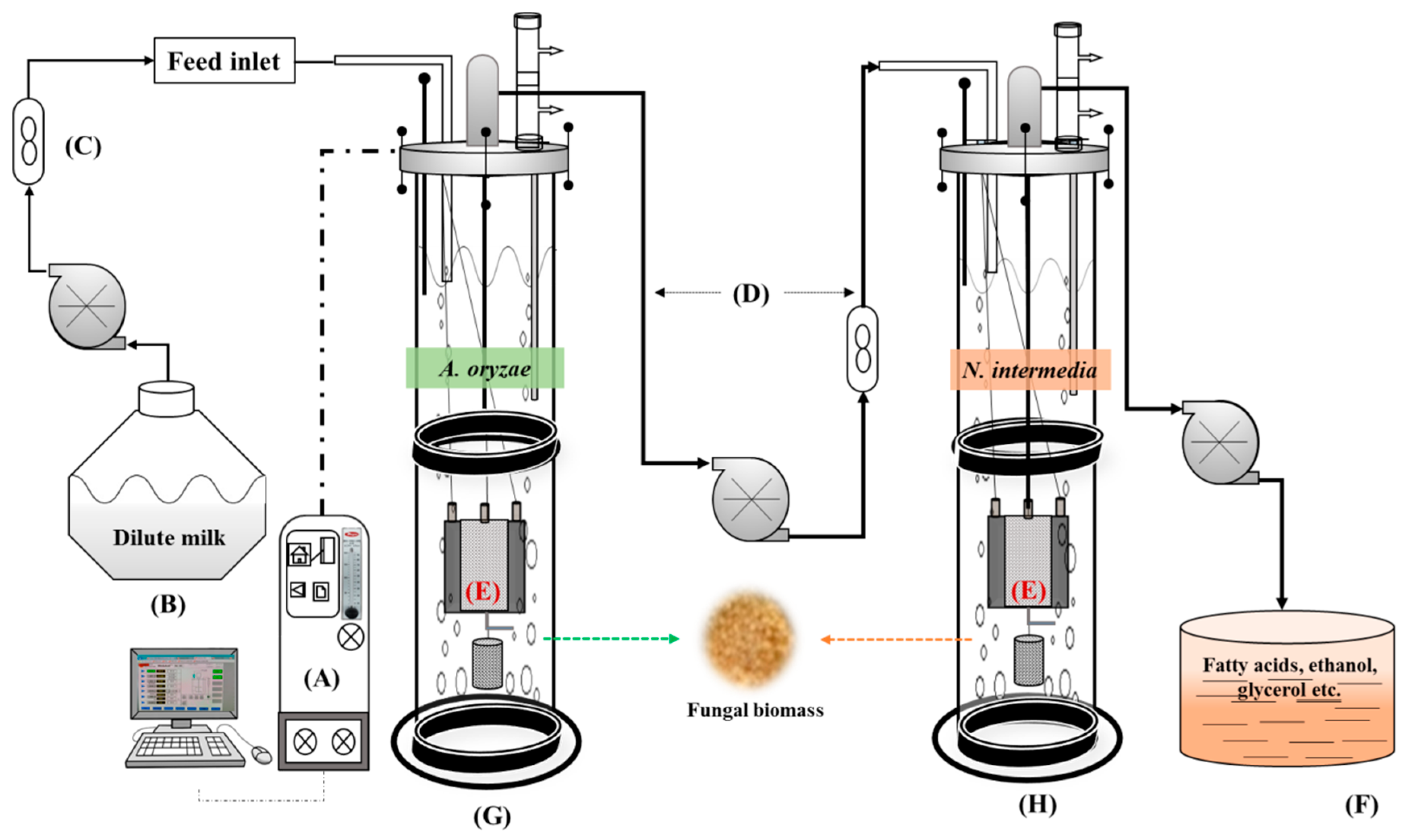 Sustainability 10 01940 g001