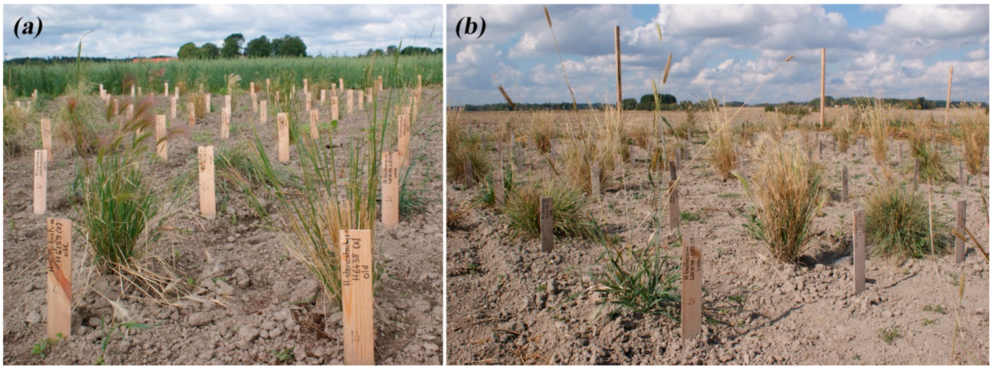 Sustainability 10 01969 g001